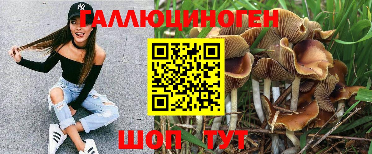 купить наркотики сайты  Вход с VPN  Псилоцибиновые грибы мухоморы  Коммунар  Псилоцибиновые грибы Psilocybe 